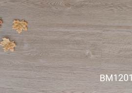 强化地板时尚系列BM1201