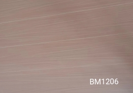 强化地板时尚系列BM1206